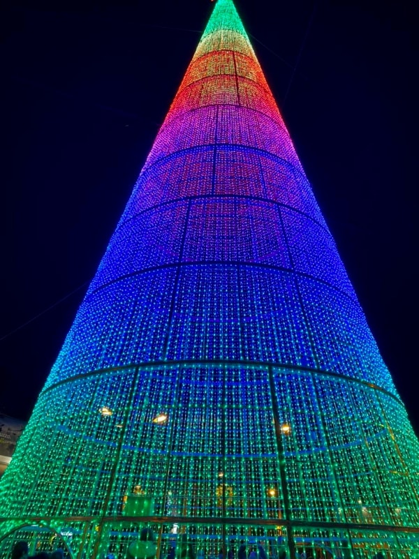 L'albero di Natale più alto d'Abruzzo