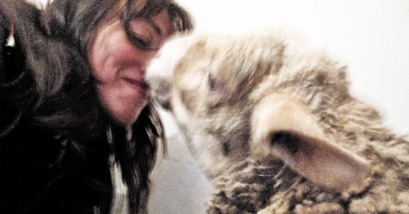 L'amore per gli animali supera ogni ostacolo, la storia di Debora Blasetti e la pecora che ha soccorso e salvato