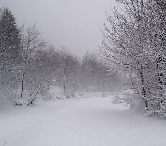 Improvvise bufere di neve, la Provincia chiude al traffico la S.R. 17 bis per Campo Imperatore