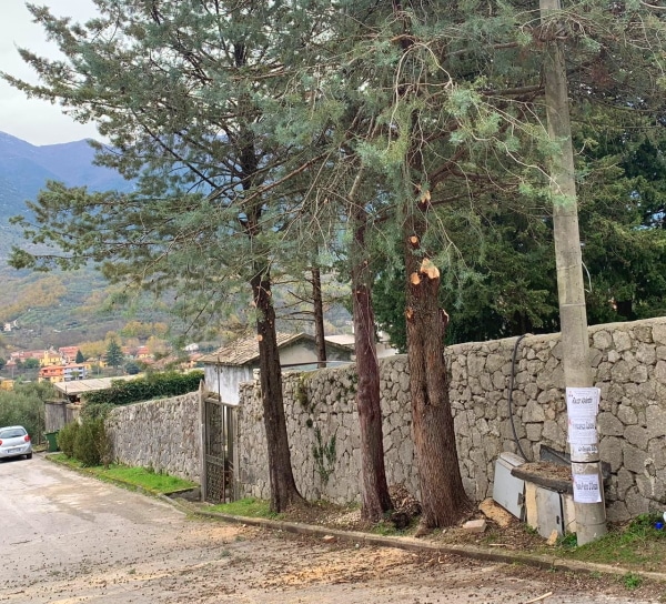 Rimossi rami pericolanti presso il cimitero di Roccavivi