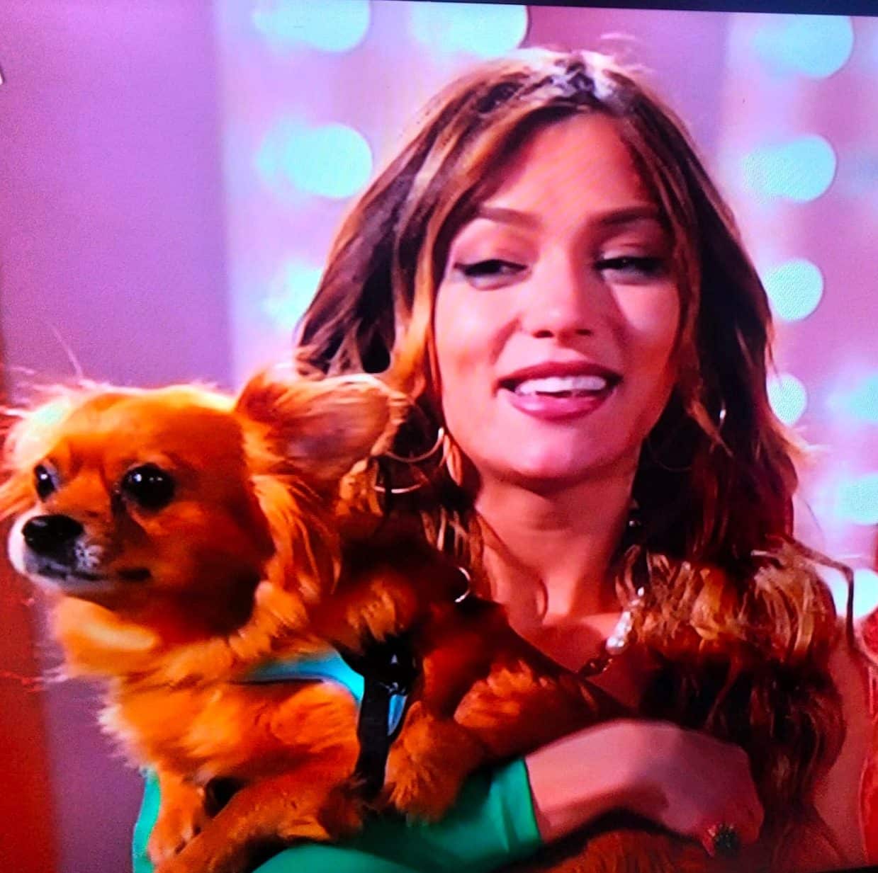 Daniela Sorge porta il cagnolino Simba a Soleil