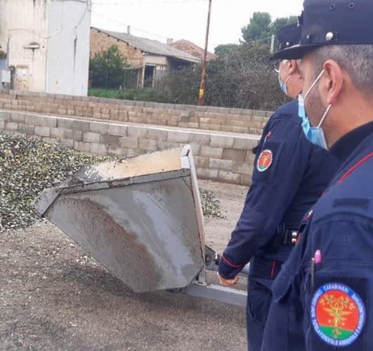 Controlli a frantoi e ipermercati, Carabinieri Forestali elevano sanzioni per 40mila euro