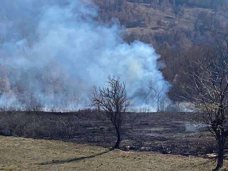 Incendio nella Vallata di Poggio Filippo, immediato intervento di NOVPC di Tagliacozzo e Carabinieri Forestali