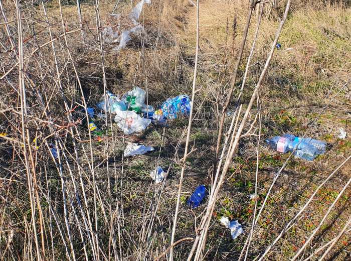 Cumuli di rifiuti abbandonati su via Viotti ad Avezzano, i residenti: "è un continuo sversamento"