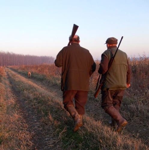 Modifiche alla legge sulla fauna selvatica, protesta il WWF Abruzzo: "cacciatori riconosciuti come strumento di controllo"
