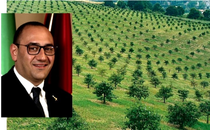 PSR Abruzzo: 75mila alberi per produzione tartufo di pregio grazie a circa 900 mila euro di finanziamento assegnato a 35 imprese