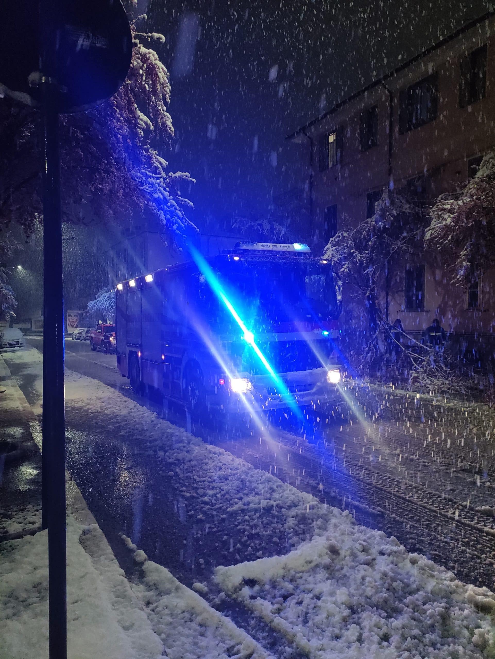 Neve e basse temperature: nel centro di Avezzano cadono molti rami sotto il peso della neve