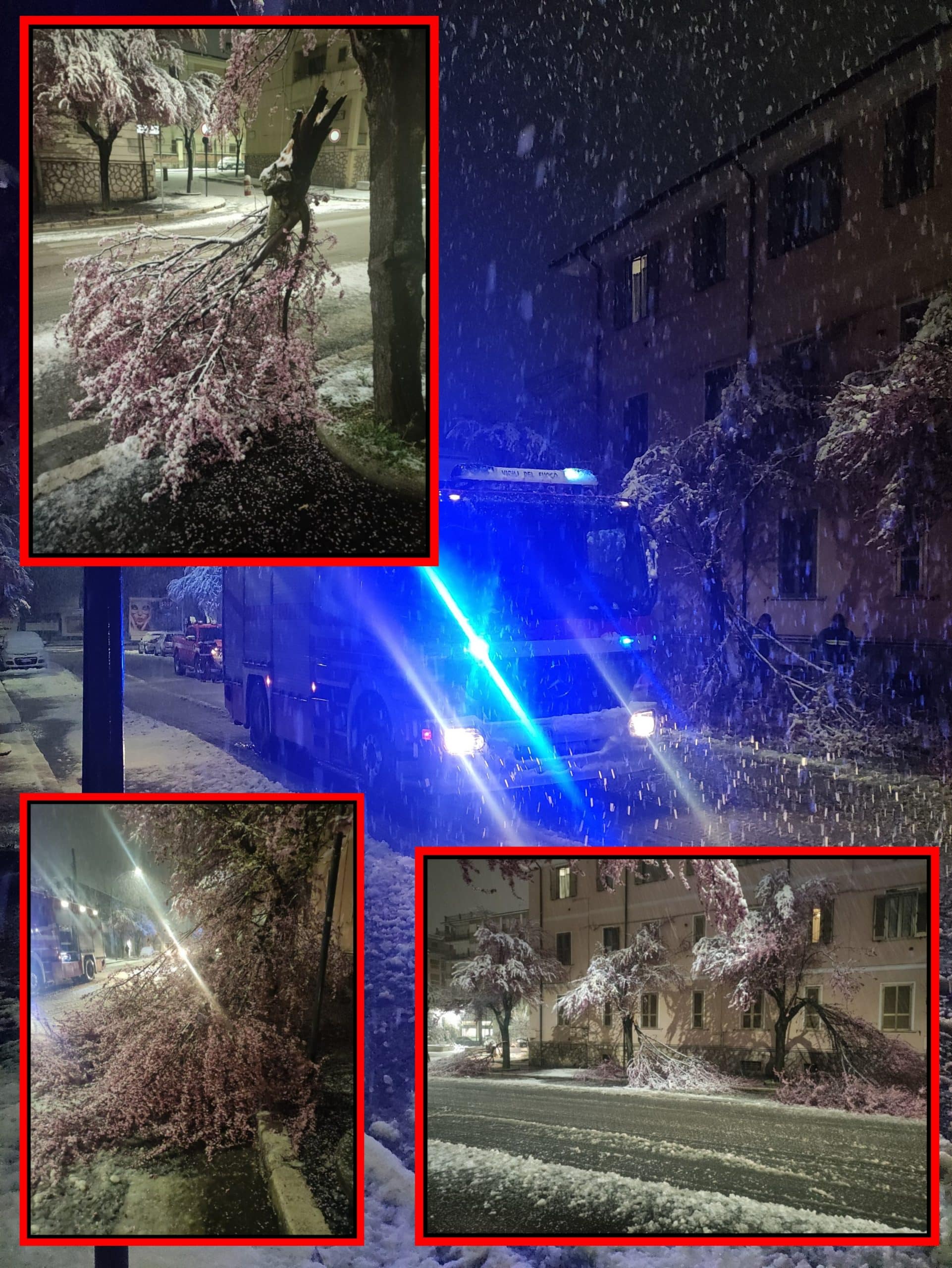 Neve e basse temperature: nel centro di Avezzano cadono molti rami sotto il peso della neve