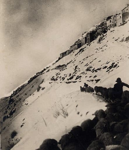 Un gregge tra la neve di Ovindoli: bellissima foto della prima parte del Novecento