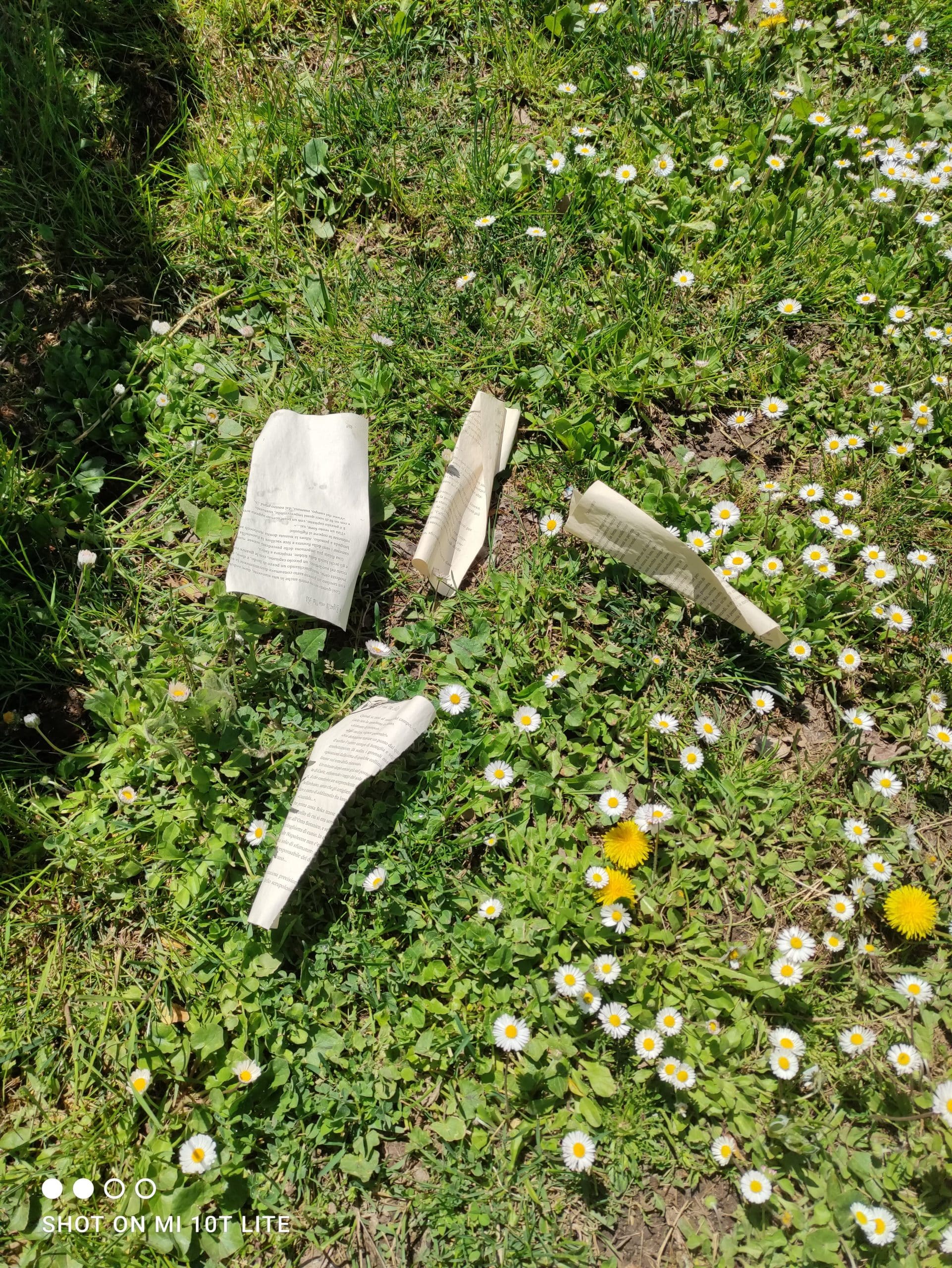 Rubati e distrutti i libri donati dai cittadini alla bibliocabina di piazza Torlonia