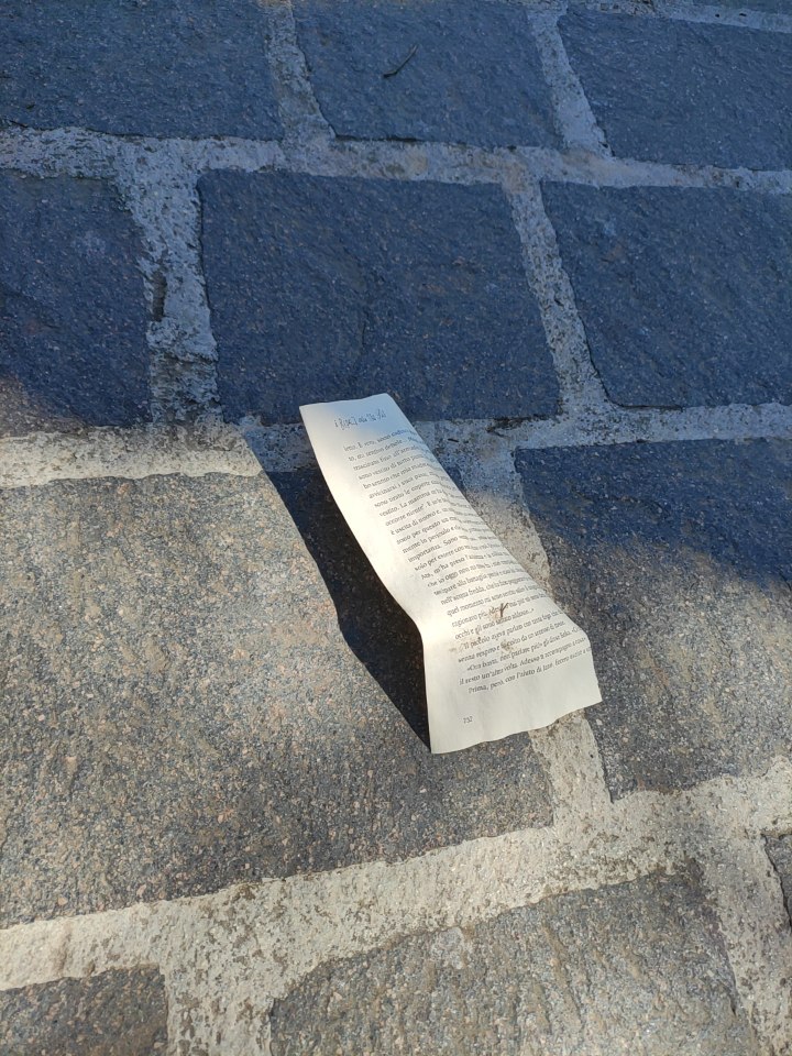 Rubati e distrutti i libri donati dai cittadini alla bibliocabina di piazza Torlonia