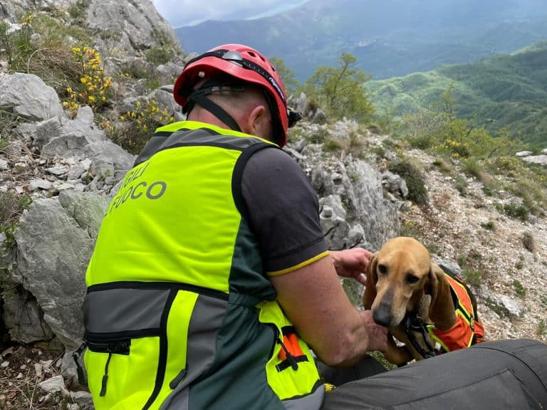 Cane da caccia precipita in montagna, salvato dai Vigili del fuoco di Avezzano