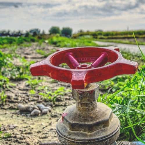 Carenza idrica, alcuni agricoltori del Fucino ignorano divieto di irrigazione: Comuni chiedono intervento del Prefetto