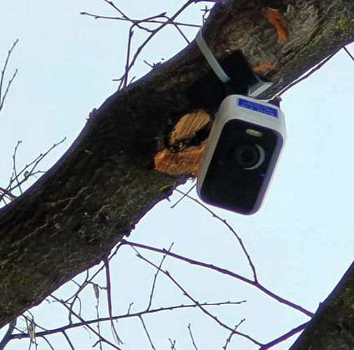 Lotta all'abbandono di rifiuti, il Comune di Scurcola Marsicana installa fototrappole su tutto il territorio