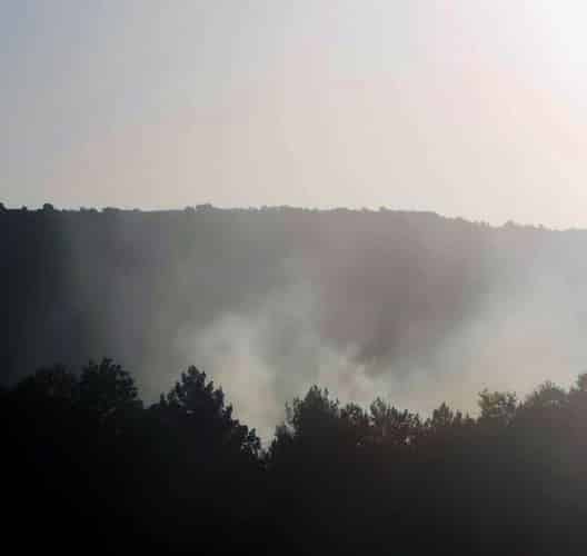 Riparte la stagione degli incendi: le fiamme bruciano un bosco a Poggio Cinolfo