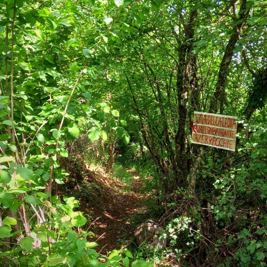 Riaperto l'antico sentiero "della legna" tra Villa San Sebastiano a Verrecchie