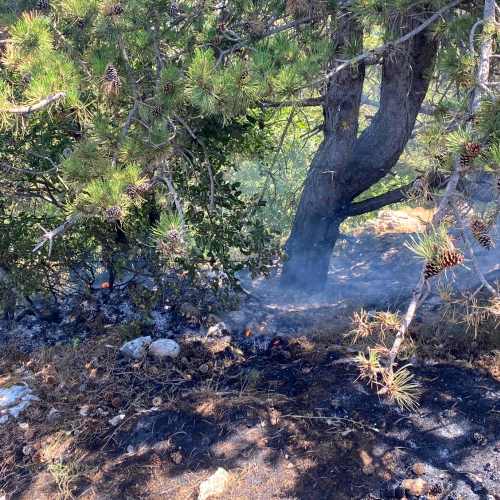 Incendio di Tagliacozzo, NOVPC: "forte vento e terreno arido alimentano di nuovo le fiamme"