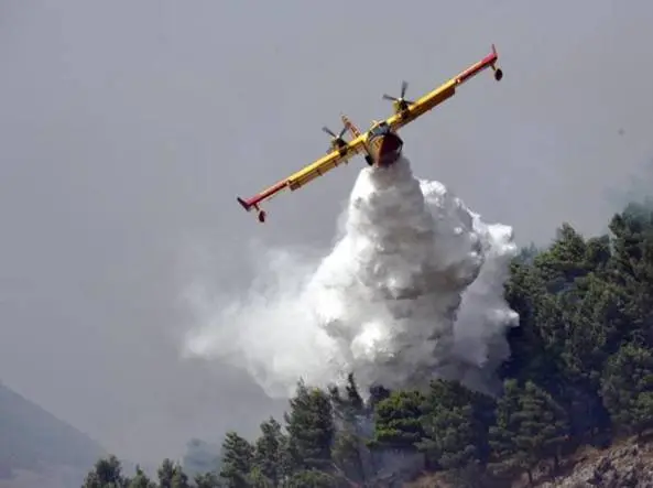 Antincendio boschivo, Liris: "1,1 milioni di euro per le 5 aree interne"