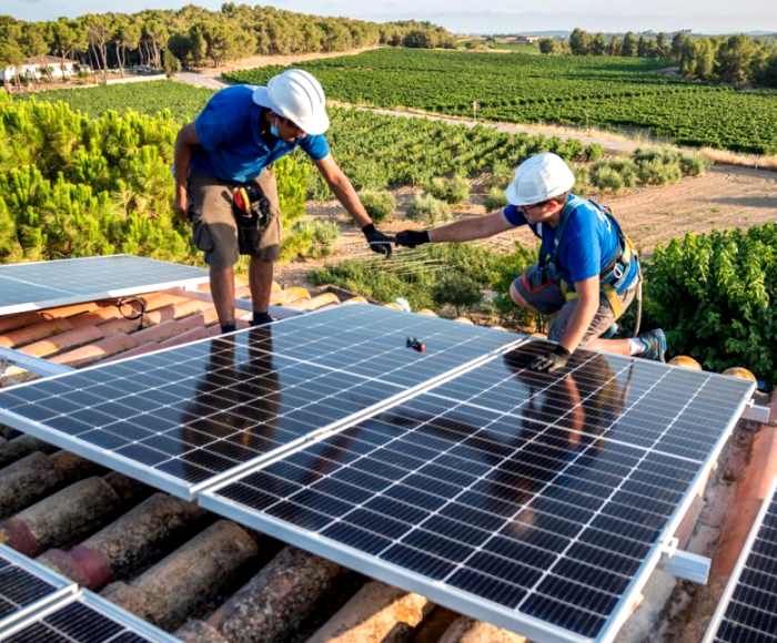 Impianti fotovoltaici settori agricolo, zootecnico e agroindustriale: fondi PNRR Parco Agrisolare