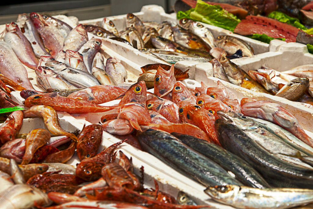 Coldiretti, stop pesce fresco, dal 16 agosto scatta il fermo pesca in Abruzzo