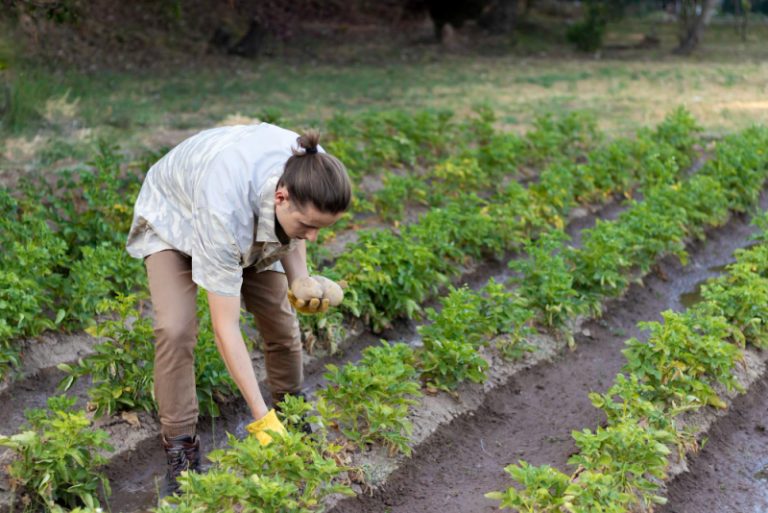 PSR Abruzzo, oltre 13 mln di euro per sostegno giovani per primo insediamento in aziende agricole