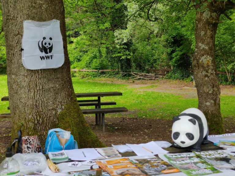 Torna l’appuntamento del WWF Abruzzo con l’educazione ambientale