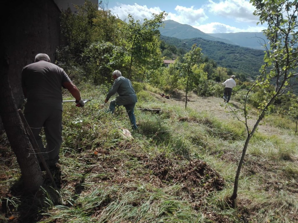 Il gruppo Alpini di Torre Sperone ripulisce l'area di Sperone Vecchio