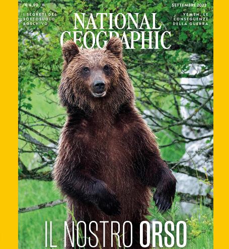 L'orso bruno marsicano sulla copertina del National Geographic con gli scatti del fotografo marsicano Bruno D'Amicis