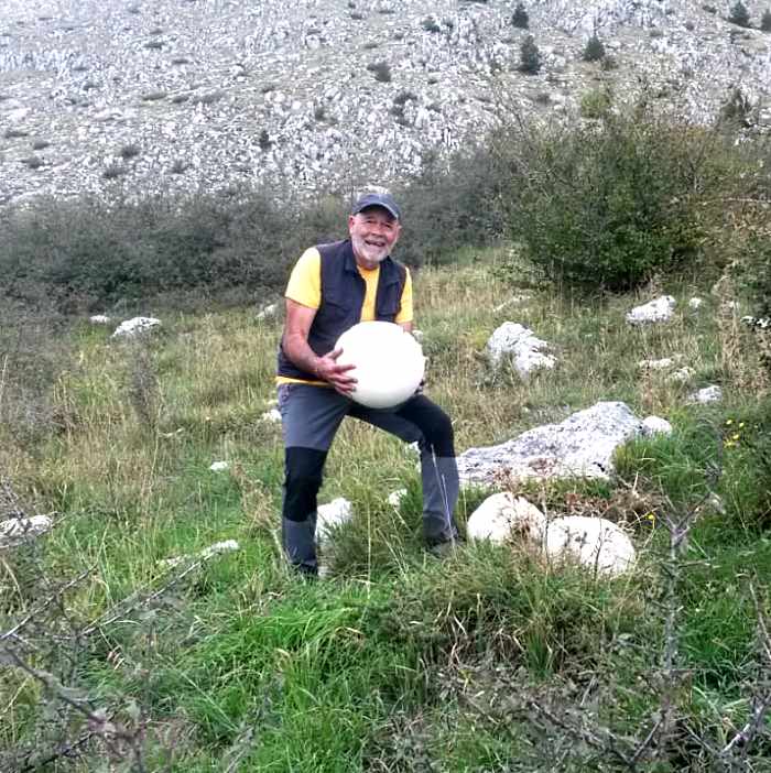 Fungo gigante raccolto su Monte San Vittorino a Celano