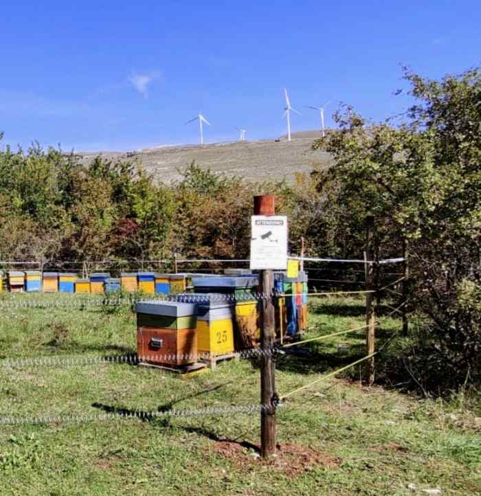 Installato un recinto elettrificato anti orso a difesa di un apiario tra Cerchio e Collarmele
