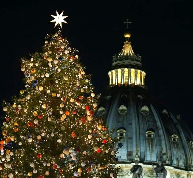 Abete abruzzese per il Natale a piazza San Pietro, WWF: "Scelta molto discutibile"