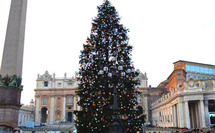 Oggi a San Pietro l'inaugurazione dell'Albero di Natale venuto dall'Abruzzo, papa Francesco ringrazia