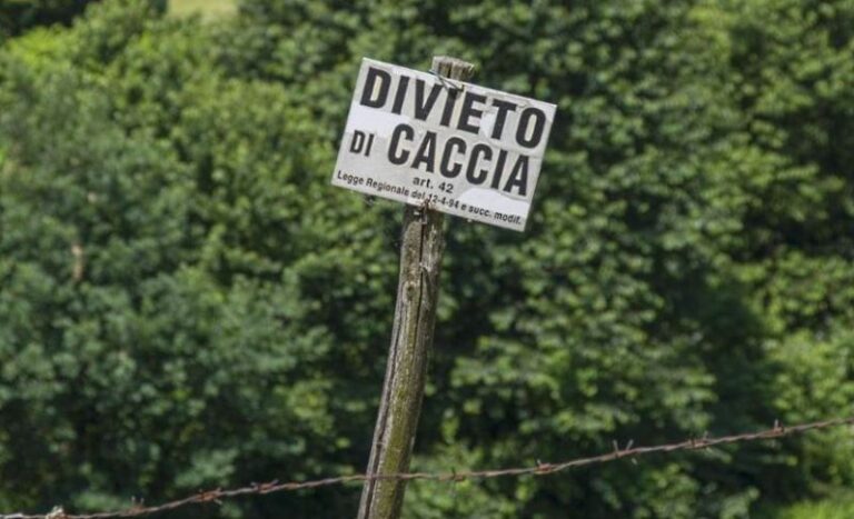 In Abruzzo si chiude la caccia, WWF: "Inconcepibile la prospettiva di sparare a cervi e caprioli nella regione verde d'Europa"