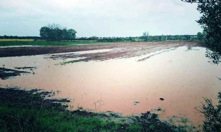 Forti precipitazioni, la Protezione Civile regionale ha attivato i suoi volontari per controllare fiumi e siti allagati