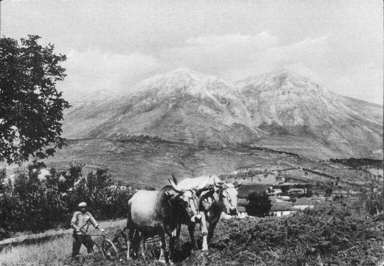 Monte Velino e un contadino coi suoi buoi in una splendida cartolina di metà Novecento