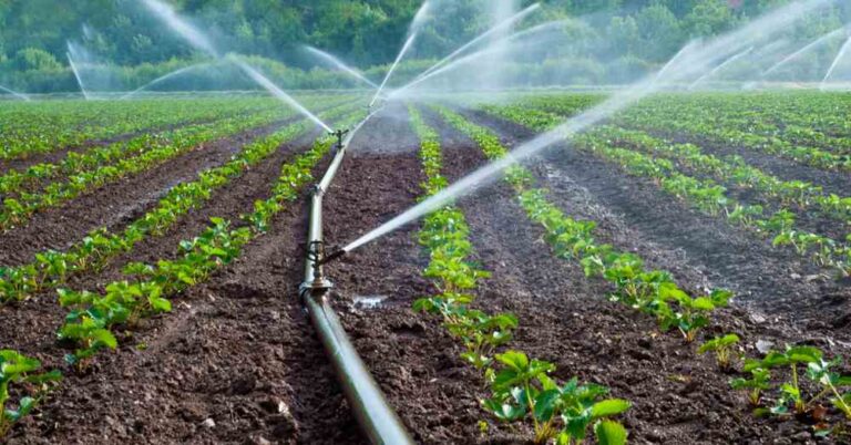 Potenziamento strutture irrigue, Taglieri: "L'Abruzzo perde fondi PNRR per il servizio idrico agricolo"