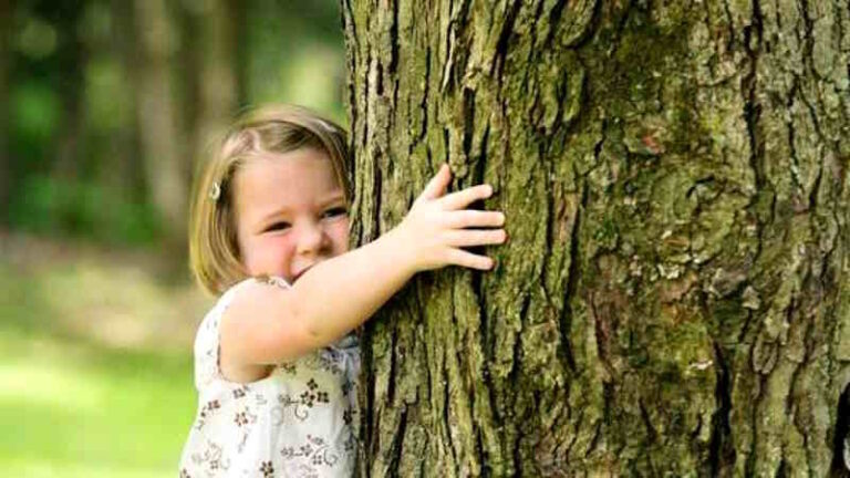 Torna la Festa dell'Albero a Morino: sarà piantato un albero per ogni nuovo nato nel 2023