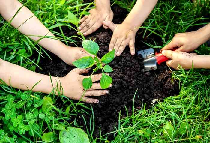 Giornata nazionale della gentilezza ai nuovi nati: Cerchio dona un albero per ogni bambino venuto al mondo