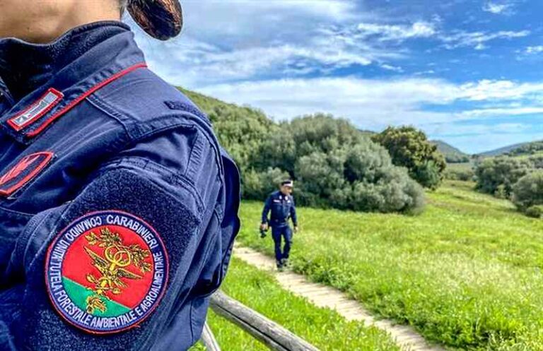 Controlli ambientali, la Regione Abruzzo firma l'accordo operativo con i Carabinieri Forestali