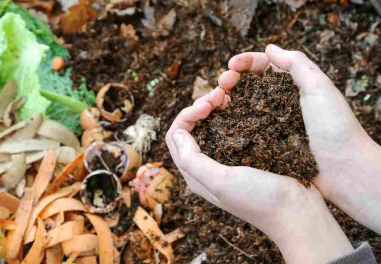 Produrre compost nel proprio giardino, il Comune di Pescasseroli mette a disposizione contenitori per i cittadini