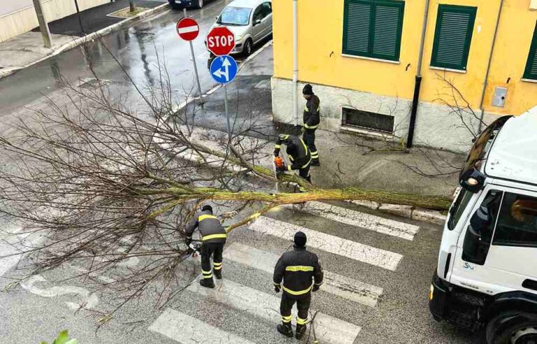 Crolla un albero in via Crispi ad Avezzano (video)