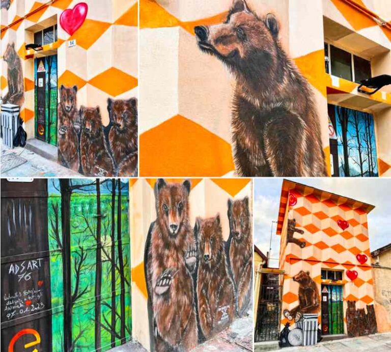 A Pescina l'artista Antonello Di Stefano realizza uno splendido murale che celebra l'orso bruno marsicano