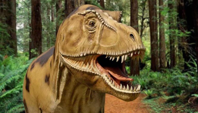 I dinosauri arrivano a Carsoli: parco giurassico con Tyrannosaurus, Allosaurus, Triceratops e Diplodocus