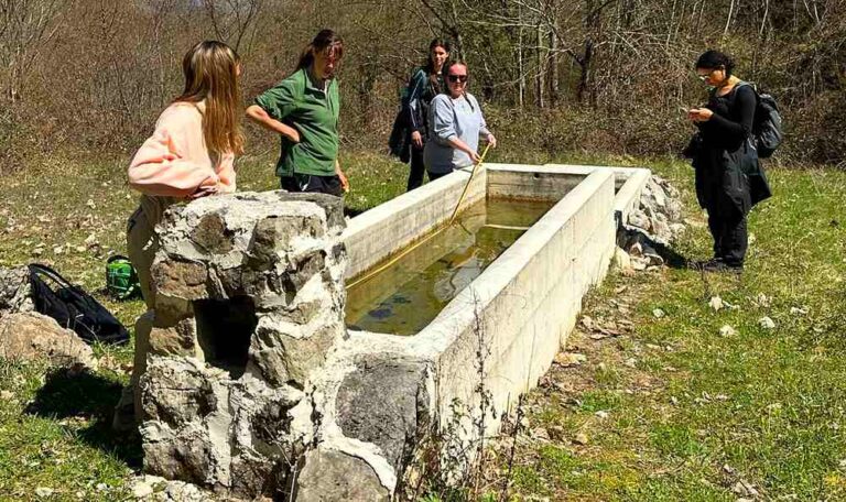 Monitoraggio fontanili e specchi d'acqua in montagna, Salviamo l'Orso: "Ripristinarli a favore della biodiversità"