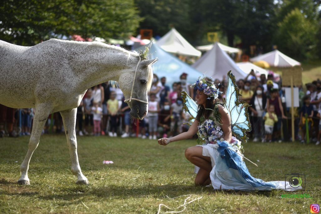 Festa Nazionale degli Gnomi