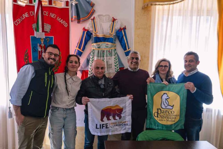 Convivere con l'orso bruno marsicano: il Comune di Lecce Nei Marsi è parte del progetto Life Bear Smart Corridors