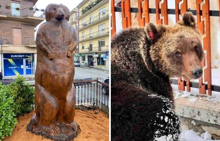 Nuovo omaggio all'orso Juan Carrito, una scultura in legno di Angelo Giancola