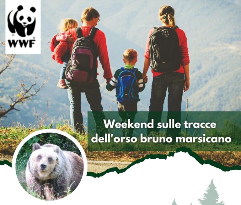 Tornano i Campi WWF dedicati alla famiglia: il piacere di una vacanza nella terra dell’Orso
