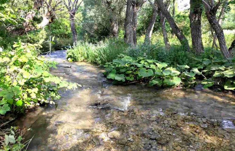 Tutela della biodiversità acquatica, Rewilding Apennines progetta di rimuovere cinque barriere fluviali sul Giovenco e una sul Liri