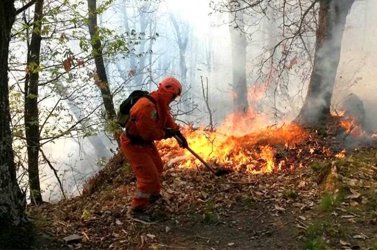Regole antincendio a Collelongo: vietato accendere fuochi su tutto il territorio extraurbano